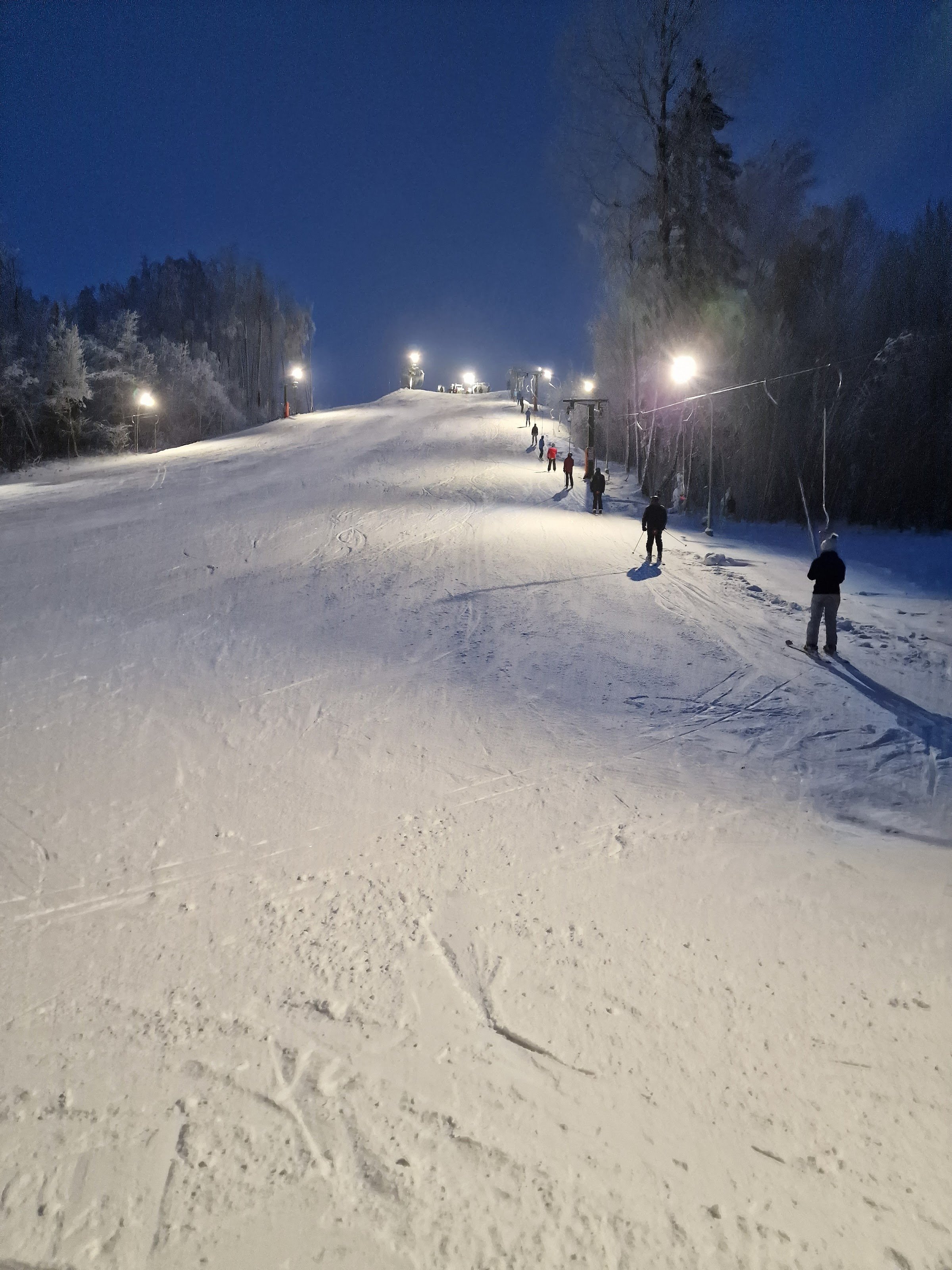 Aukštagirė Ski Area